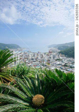 奄美大島 奄美市全景 奄美大島 奄美市全景 142693506