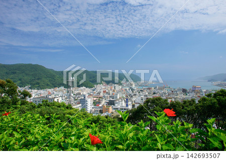 奄美大島 奄美市全景 奄美大島 奄美市全景 142693507
