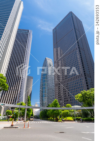 新宿副都心に立ち並ぶ高層ビルとオフィス街の風景 新宿副都心に立ち並ぶ高層ビルとオフィス街の風景 142693553