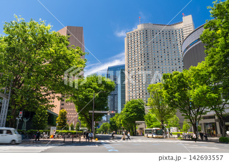 新宿副都心に立ち並ぶ高層ビルとオフィス街の風景 新宿副都心に立ち並ぶ高層ビルとオフィス街の風景 142693557