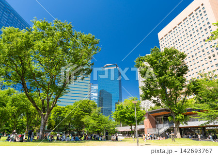 新宿副都心に立ち並ぶ高層ビルとオフィス街の風景 新宿副都心に立ち並ぶ高層ビルとオフィス街の風景 142693767