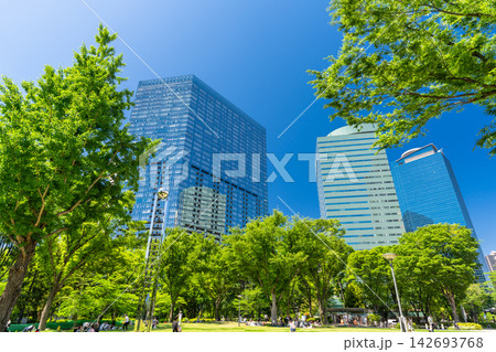 新宿副都心に立ち並ぶ高層ビルとオフィス街の風景 142693768