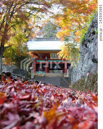 紅葉と妙義神社総門 紅葉と妙義神社総門 142693891
