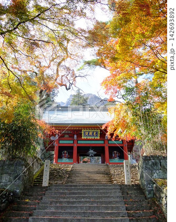 紅葉と妙義神社総門 紅葉と妙義神社総門 142693892