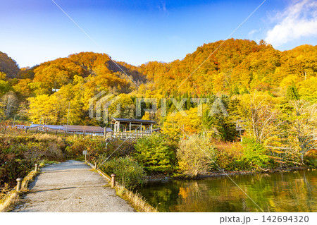 青森県　十和田湖の美しい秋景色 142694320