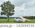 草原の一本の木の側でオートキャンプ 142694536