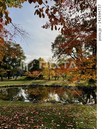 秋の札幌・中島公園の紅葉と水辺の風景 秋の札幌・中島公園の紅葉と水辺の風景 142694737