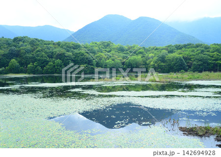 福島県下郷町 水草浮かぶ観音沼に映りこむ大鹿沼山山頂 142694928