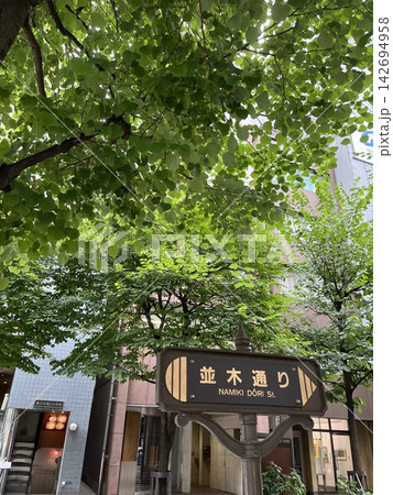 銀座の並木通り 銀座の並木通り 142694958