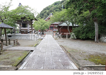 千葉県館山市にある那古寺の境内風景  142695522