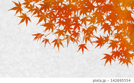 モミジのシルエットアート、紅く色づく秋の背景 142695554