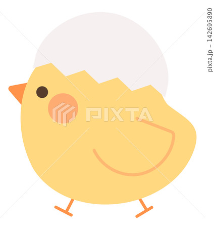 卵の殻をかぶったかわいいヒヨコ 卵の殻をかぶったかわいいヒヨコ 142695890