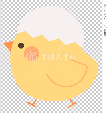 卵の殻をかぶったかわいいヒヨコ 卵の殻をかぶったかわいいヒヨコ 142695890