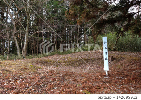 竪穴式住居跡がある対馬遺跡(宮城県登米市) 竪穴式住居跡がある対馬遺跡(宮城県登米市) 142695912