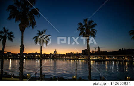 palm trees at sunset palm trees at sunset 142695924