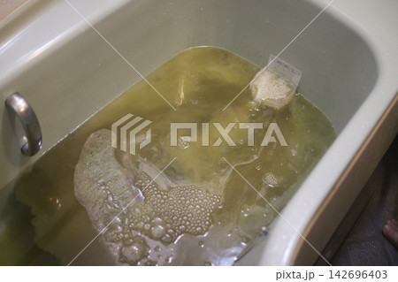 浴槽の配管洗浄をする様子 浴槽の配管洗浄をする様子 142696403