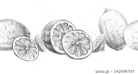 A seamless border with hand-drawn lemons, whole and sliced. Isolated pencil illustrations for menus, recipes, packaging, printing on kraft bags, and kitchen textiles. A seamless border with hand-drawn lemons, whole and sliced. Isolated pencil illustrations for menus, recipes, packaging, printing on kraft bags, and kitchen textiles. 142696797