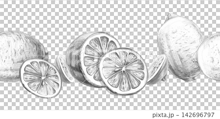 A seamless border with hand-drawn lemons, whole and sliced. Isolated pencil illustrations for menus, recipes, packaging, printing on kraft bags, and kitchen textiles. A seamless border with hand-drawn lemons, whole and sliced. Isolated pencil illustrations for menus, recipes, packaging, printing on kraft bags, and kitchen textiles. 142696797