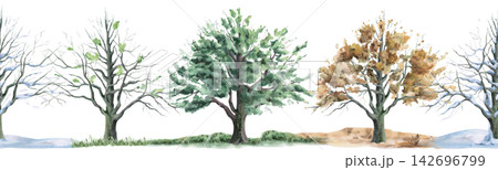 Four seasonal oak trees: summer, autumn, winter, and spring in a seamless border. Isolated watercolor illustration for calendars, children's rooms, eco-parks, cafe menus, and craft tea packaging. 142696799