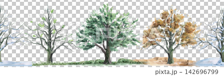 Four seasonal oak trees: summer, autumn, winter, and spring in a seamless border. Isolated watercolor illustration for calendars, children's rooms, eco-parks, cafe menus, and craft tea packaging. 142696799