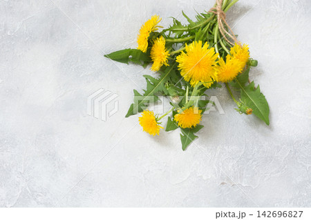 Bouquet of fresh yellow dandelion on light background. Copy space .Top view. Bouquet of fresh yellow dandelion on light background. Copy space .Top view. 142696827