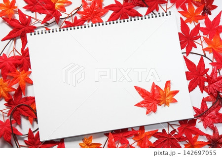 赤く紅葉したモミジと斜めに置いたスケッチブックのフレーム 赤く紅葉したモミジと斜めに置いたスケッチブックのフレーム 142697055