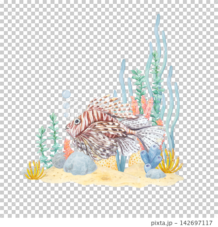 Watercolor corner scene with lionfish on sandy seabed isolated on white background. Hand drawn marine element with coral, seaweed and sponges for children underwater adventure design Watercolor corner scene with lionfish on sandy seabed isolated on white background. Hand drawn marine element with coral, seaweed and sponges for children underwater adventure design 142697117