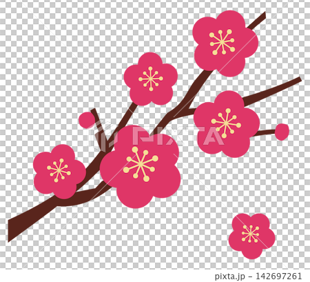 Simple plum illustration Simple plum illustration 142697261