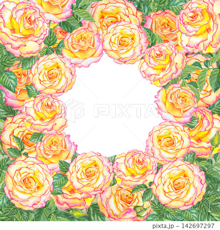 Watercolor square floral frame with yellow pink roses, buds and green leaves. Botanical illustration isolated on white background hand painted realistic flowers for wedding invitation Watercolor square floral frame with yellow pink roses, buds and green leaves. Botanical illustration isolated on white background hand painted realistic flowers for wedding invitation 142697297
