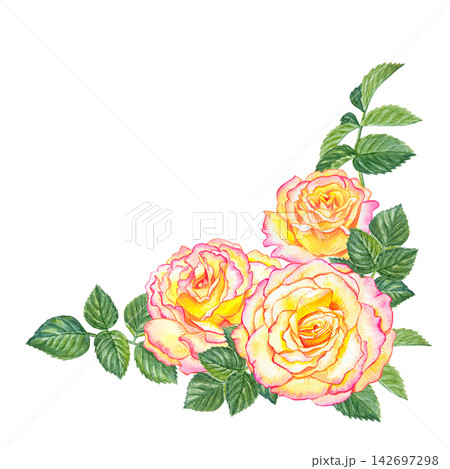 Watercolor corner floral composition with yellow pink roses and green leaves. Botanical illustration isolated on white background. Hand painted realistic flowers for wedding frame design Watercolor corner floral composition with yellow pink roses and green leaves. Botanical illustration isolated on white background. Hand painted realistic flowers for wedding frame design 142697298