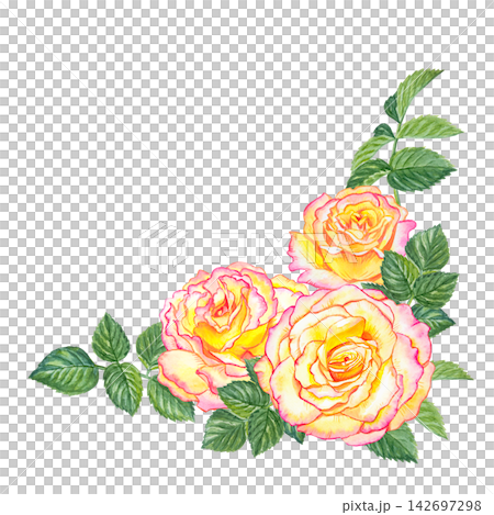 Watercolor corner floral composition with yellow pink roses and green leaves. Botanical illustration isolated on white background. Hand painted realistic flowers for wedding frame design Watercolor corner floral composition with yellow pink roses and green leaves. Botanical illustration isolated on white background. Hand painted realistic flowers for wedding frame design 142697298