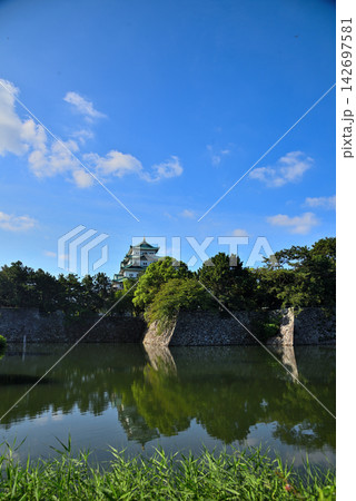 《愛知県》深緑の名古屋城天守閣 《愛知県》深緑の名古屋城天守閣 142697581