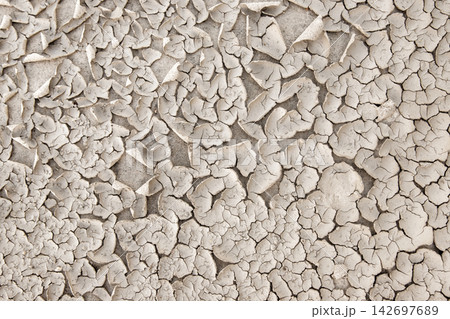 Dry cracked soil surface forms abstract natural pattern under sunlight. Texture shows drought effect and desiccation process symbolizing heat, climate change and environmental stress Dry cracked soil surface forms abstract natural pattern under sunlight. Texture shows drought effect and desiccation process symbolizing heat, climate change and environmental stress 142697689