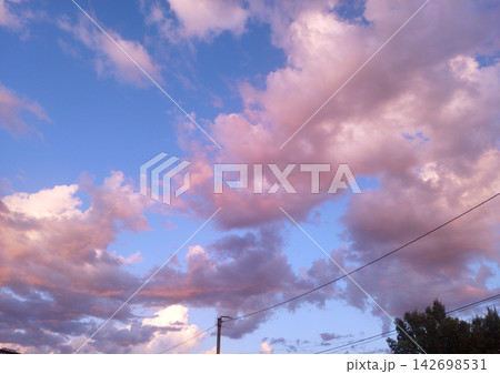 A dramatic sunset sky filled with fluffy pink and purple clouds against a blue background, with power lines and silhouetted tree tops visible along the bottom. A dramatic sunset sky filled with fluffy pink and purple clouds against a blue background, with power lines and silhouetted tree tops visible along the bottom. 142698531