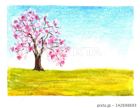 Hand drawn watercolor colorful gentle simple landscape, lonely, blossoming tree of sakura, cherry, blue clear sky and green meadow. Pink flowers, branches, grass for spring design, holidays, Hanami. 142698693