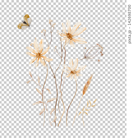 Hand-painted watercolor bouquet of beige wildflowers, dried grasses, wheat and a moth on white background. Neutral autumn arrangement in cream and tan tones, boho botanical spray. Hand-painted watercolor bouquet of beige wildflowers, dried grasses, wheat and a moth on white background. Neutral autumn arrangement in cream and tan tones, boho botanical spray. 142698700