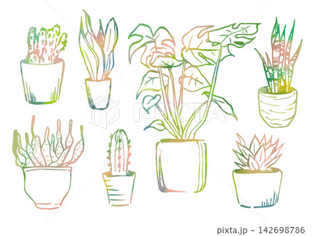 観葉植物のセット素材 観葉植物のセット素材 142698786