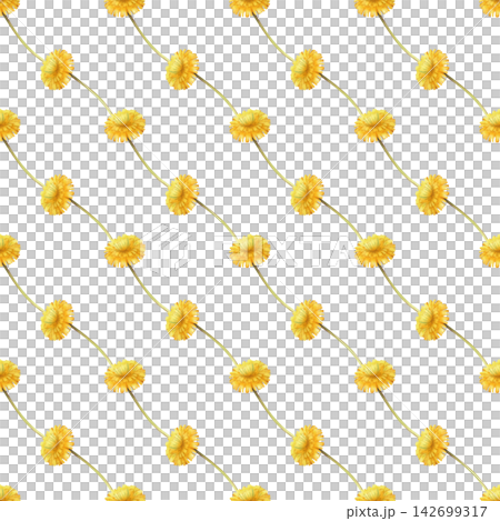 Watercolor diagonal seamless pattern with vibrant yellow dandelion blossoms arranged on long stems. Botanical drawing on a isolated background, for summer textile, floral packaging, wallpaper, and Watercolor diagonal seamless pattern with vibrant yellow dandelion blossoms arranged on long stems. Botanical drawing on a isolated background, for summer textile, floral packaging, wallpaper, and 142699317