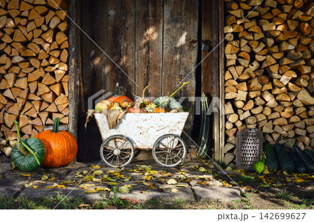 Rustic pumpkin cart beside wooden cabin and stacked logs outdoors Rustic pumpkin cart beside wooden cabin and stacked logs outdoors 142699627