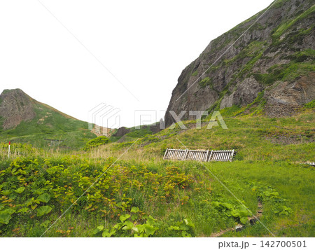礼文島の山の風景 142700501