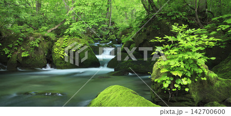 waterfall in the forest waterfall in the forest 142700600