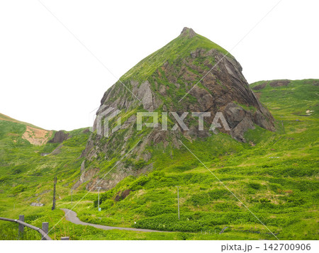 礼文島の桃岩の風景 礼文島の桃岩の風景 142700906