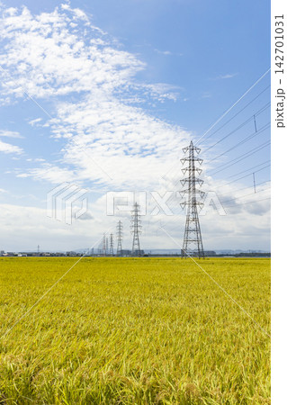 田園風景と鉄塔 田園風景と鉄塔 142701031