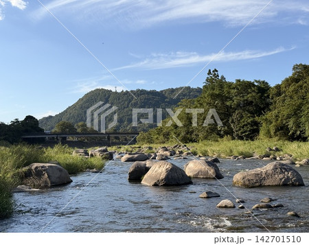 渓流と森林の風景 142701510