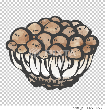 Shimeji 手繪毛筆繪畫風格插畫 Shimeji 手繪毛筆繪畫風格插畫 142701727