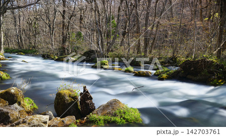 river in the forest 142703761