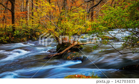 waterfall in deep forest waterfall in deep forest 142703835