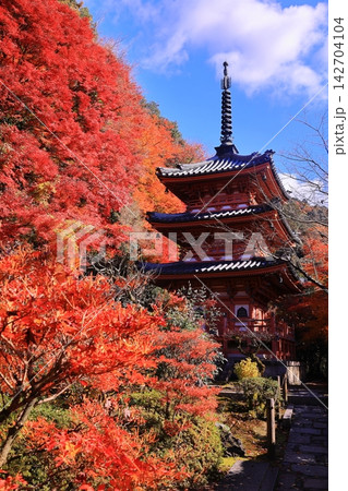 紅葉に包まれる三室戸寺(京都府宇治市)三重塔 紅葉に包まれる三室戸寺(京都府宇治市)三重塔 142704104