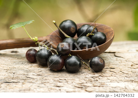 Fresh blackcurrants in a wooden spoon on rustic background Fresh blackcurrants in a wooden spoon on rustic background 142704332