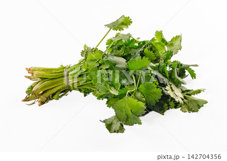 Fresh green cilantro bunch tied with string on white background, vibrant leaves and stems with water droplets, shallow depth of field Fresh green cilantro bunch tied with string on white background, vibrant leaves and stems with water droplets, shallow depth of field 142704356